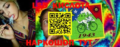 стаф Краснокаменск