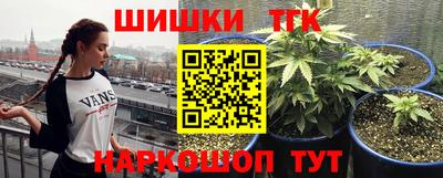 стаф Краснокаменск