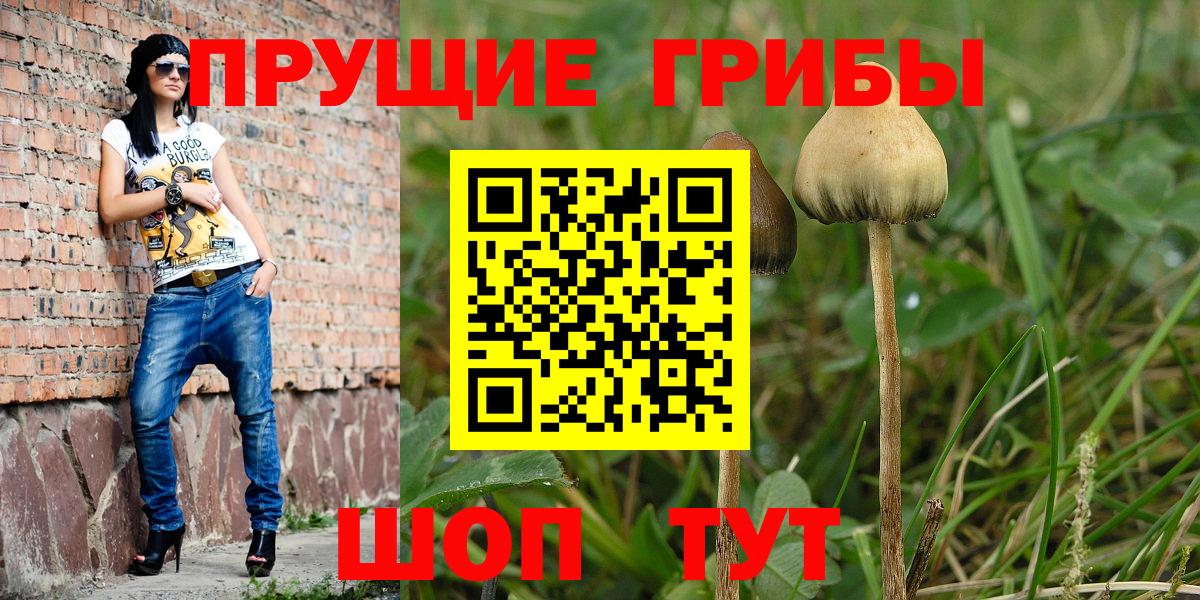 Псилоцибиновые грибы Psilocybine cubensis Симферополь