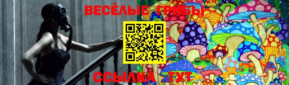 продажа наркотиков  Псилоцибиновые грибы Psilocybine cubensis  Вход с VPN  Симферополь 